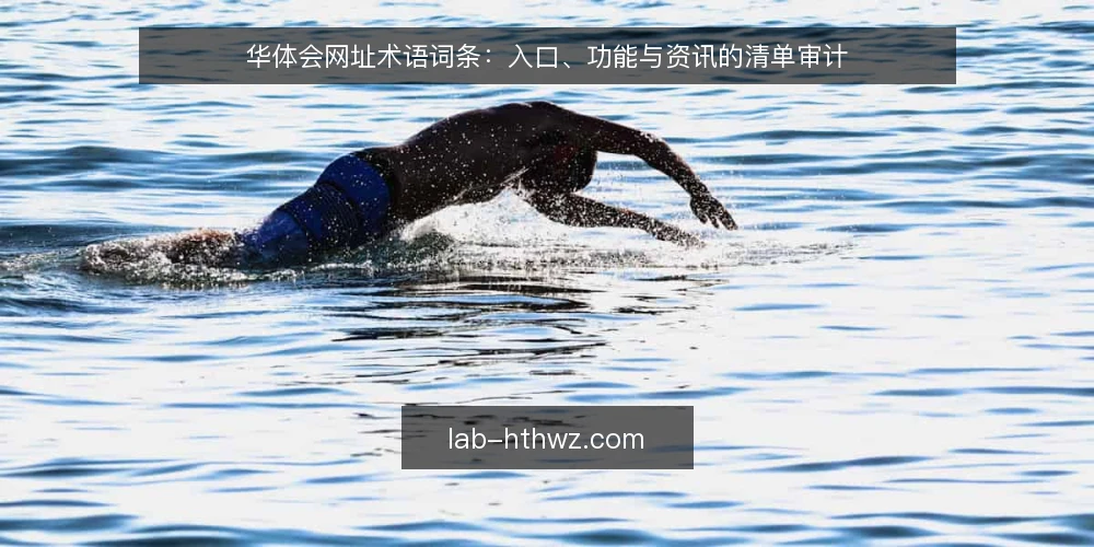华体会网址术语词条：入口、功能与资讯的清单审计 — 为什么要做术语审计 配图